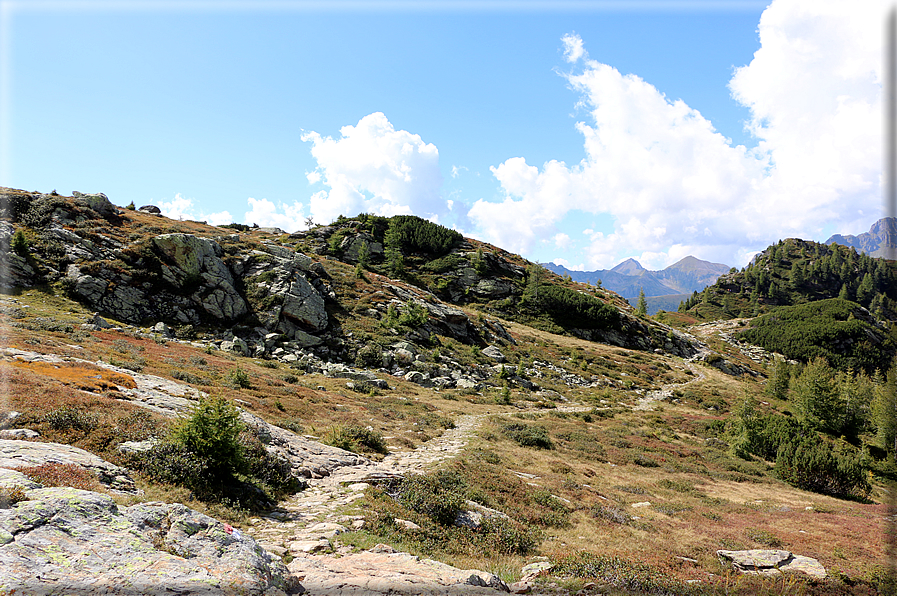 foto Da Passo 5 Croci alla Forcella Magna